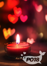 隔壁的她的动漫免费完整版